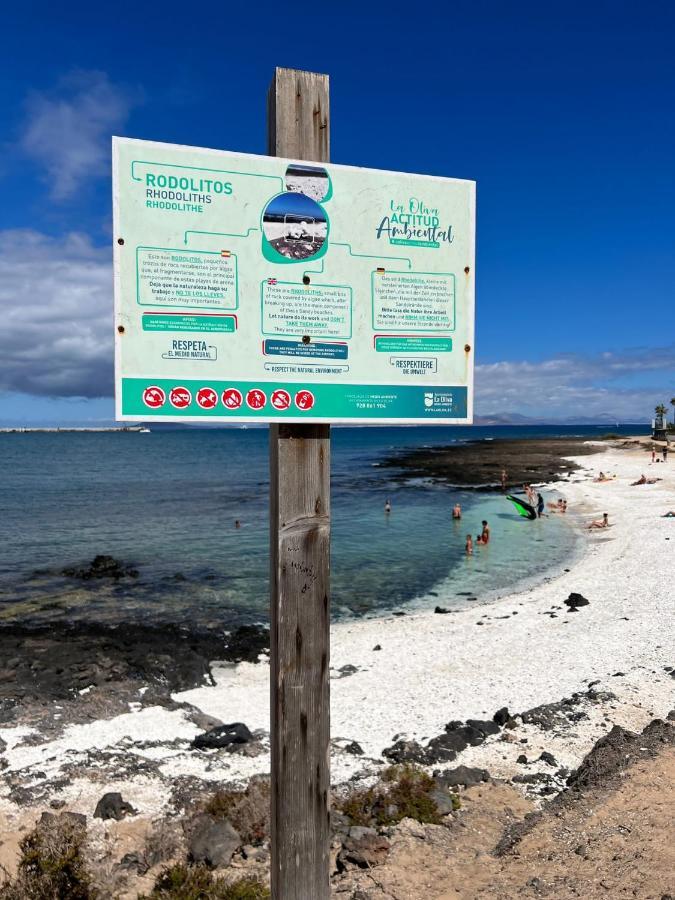 Delfines 61 Leilighet Corralejo Eksteriør bilde